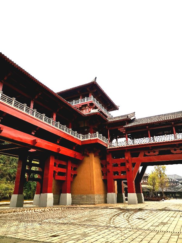 都匀茶旅小镇,都匀毛尖茶园基地游玩