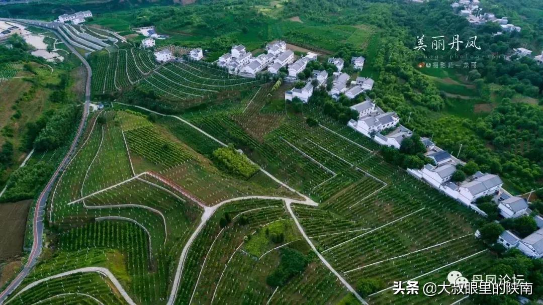 丹凤县七一建党节活动,丹凤建党