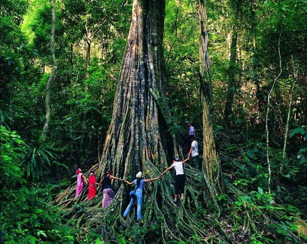 景洪市划定中高风险区,景洪市全景图片