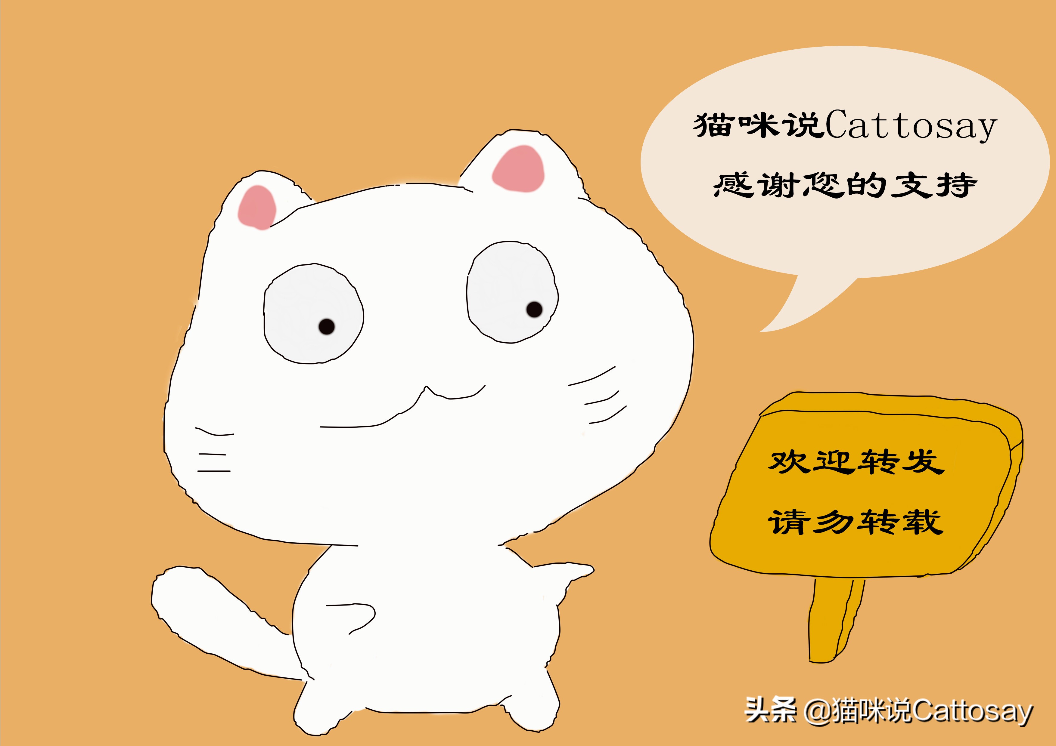 秋天猫容易掉毛不,秋天猫掉毛严重怎么办