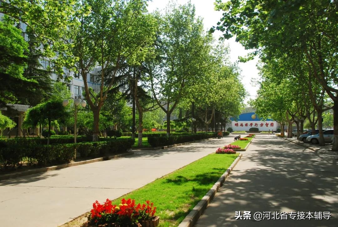 河北专接本医科专业,河北专接本院校相关专业