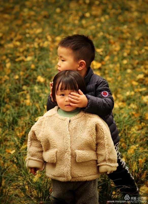 金色童年8张图片,金色的童年相片