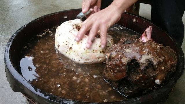 农村有一种野生蔬菜,农村有一种植物很香