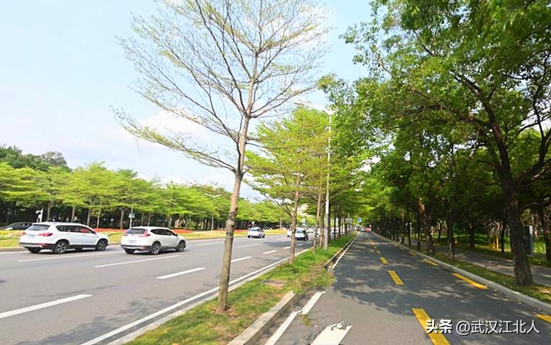 武汉哪些道路新修,武汉城区道路修复