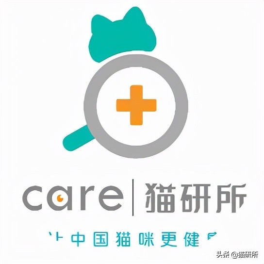 猫咪可以喂自制猫粮吗,用虫子做的食物