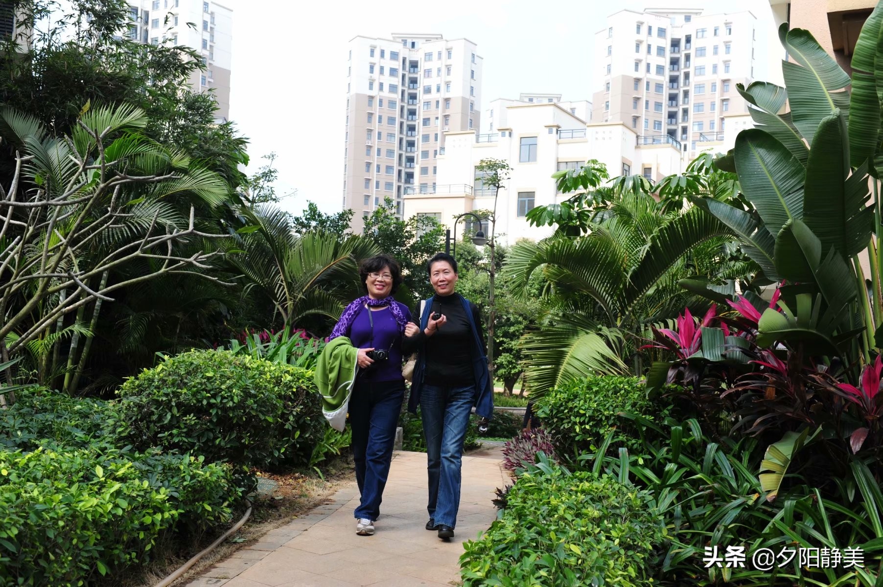 我的海南之旅全集,海南天赐上湾怎么样