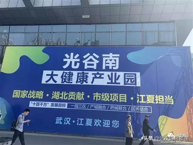 武汉五大国家级产业基地,武汉三大国家级开发区