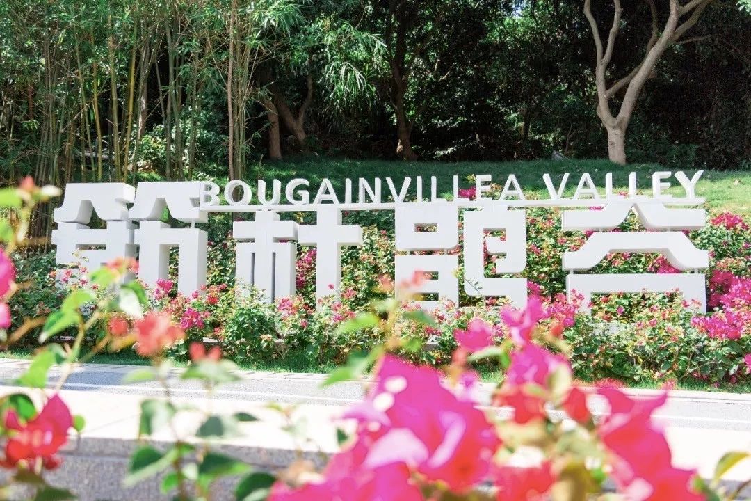 深圳游玩好去处攻略,深圳7个自驾游免费好去处推荐