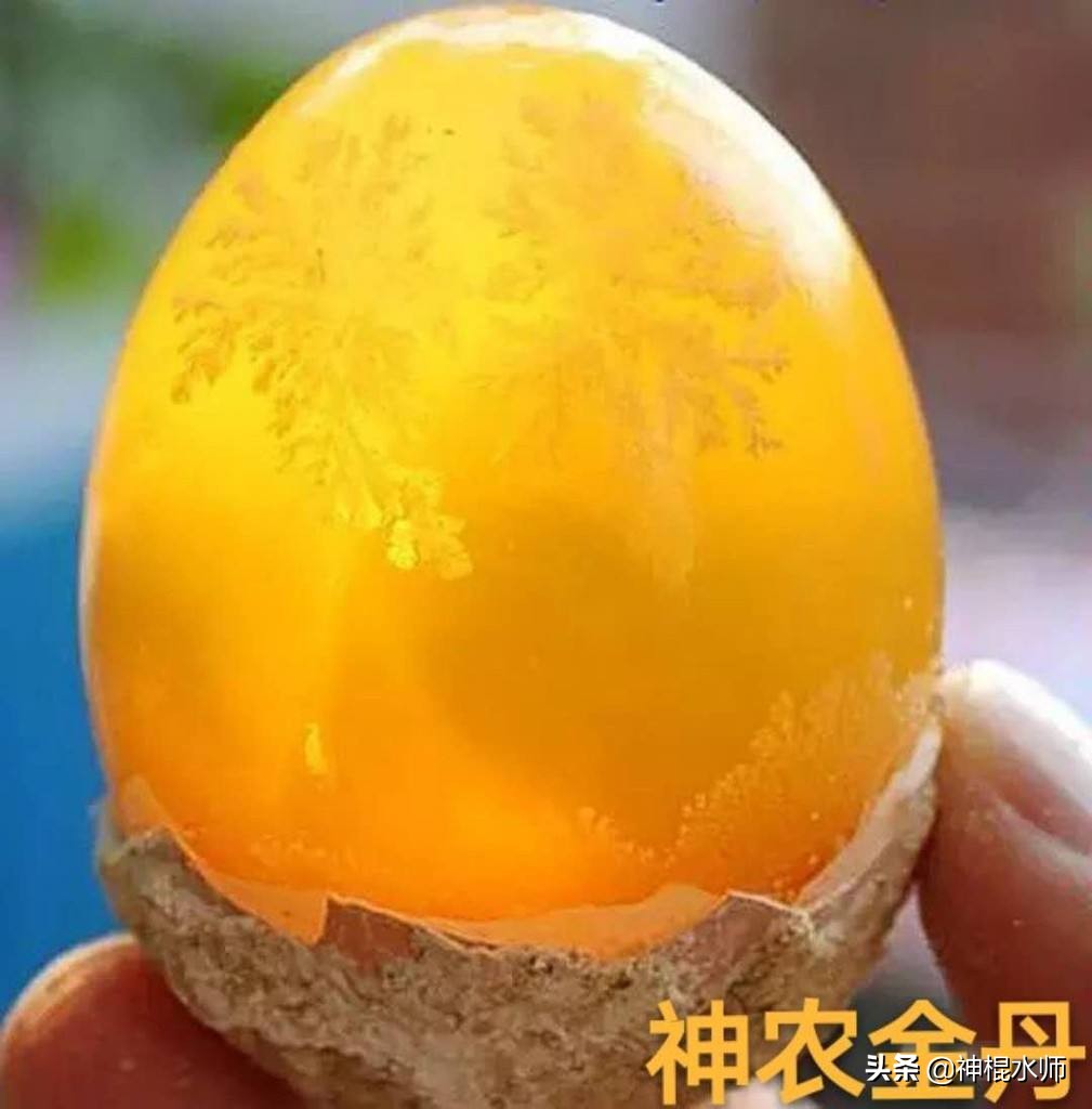 李时珍是一位伟大的医生,李时珍从小立志做一名什么的医生