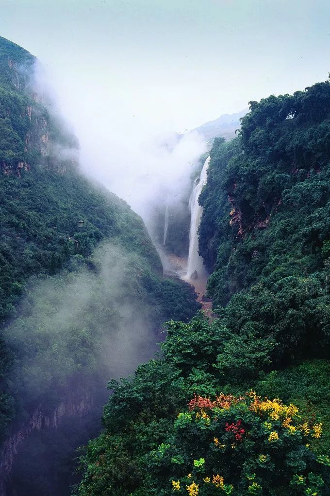 贵州速度，蔚为大观