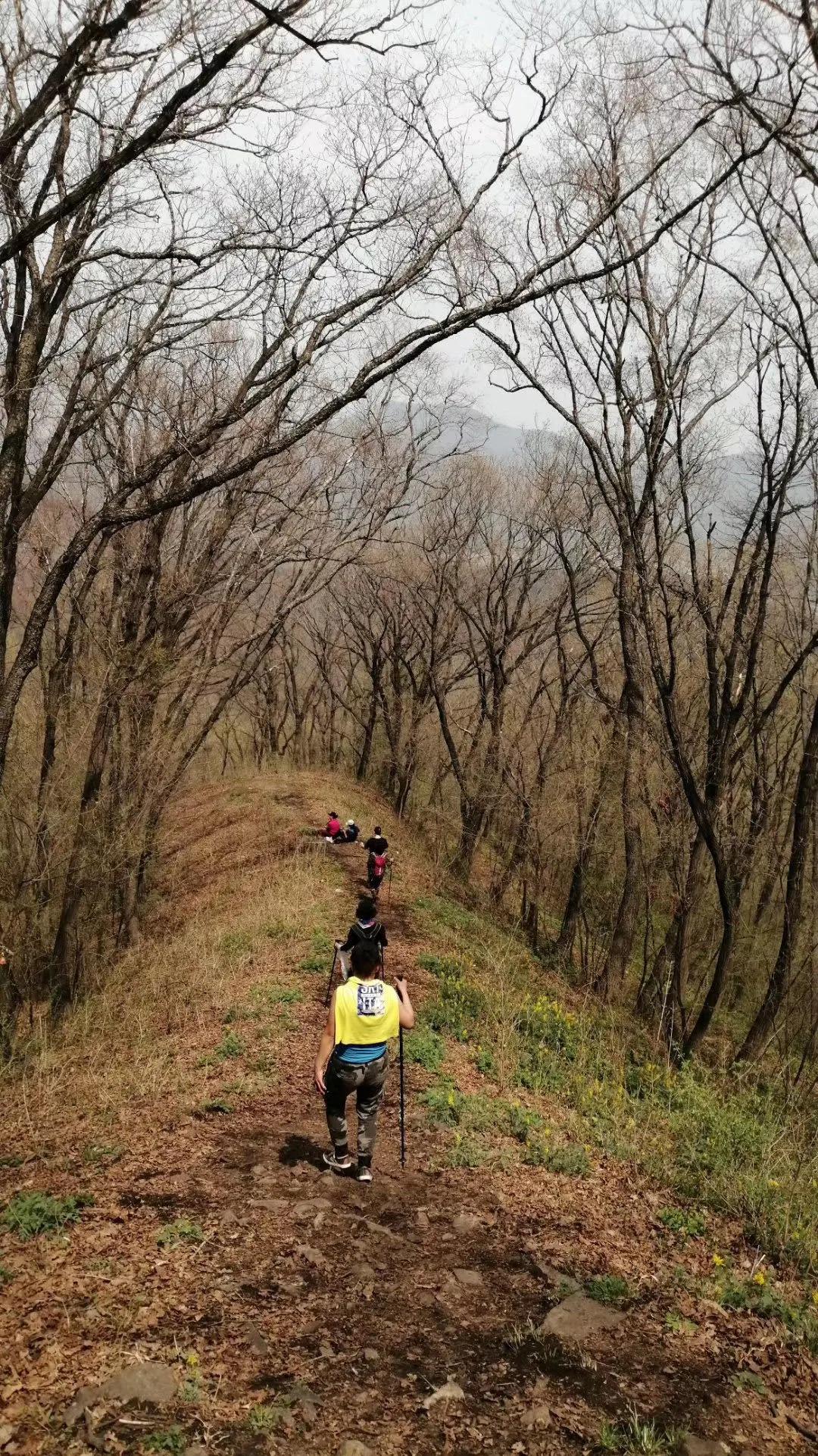 旅行社线上营销方法,互联网思维下的旅行社营销
