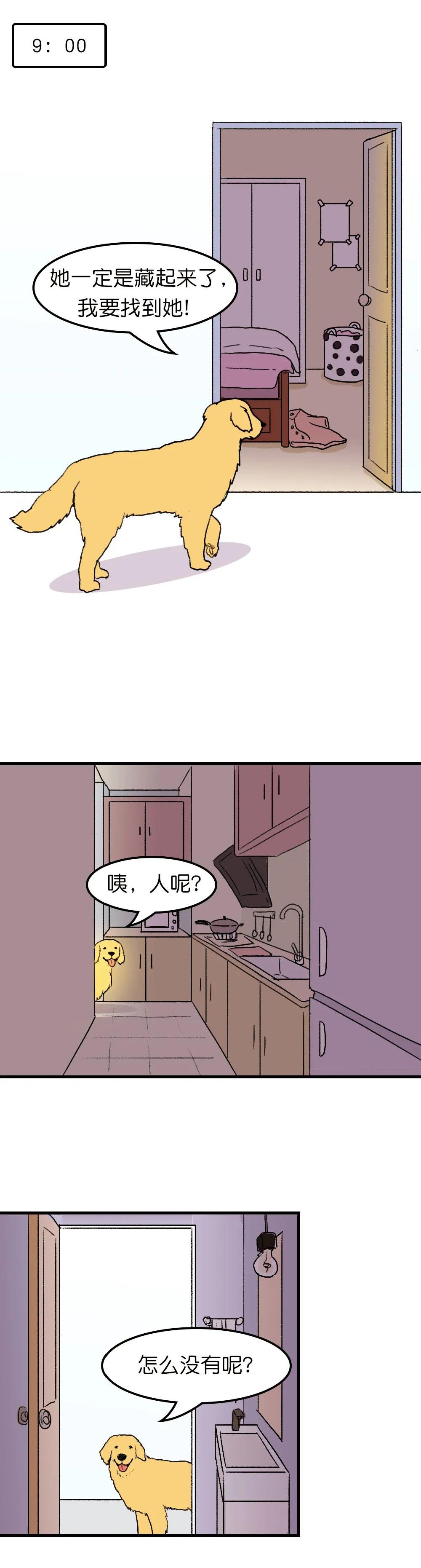 狗子在家来回踱步是什么原因,狗子为什么会很喜欢躲床底下睡觉