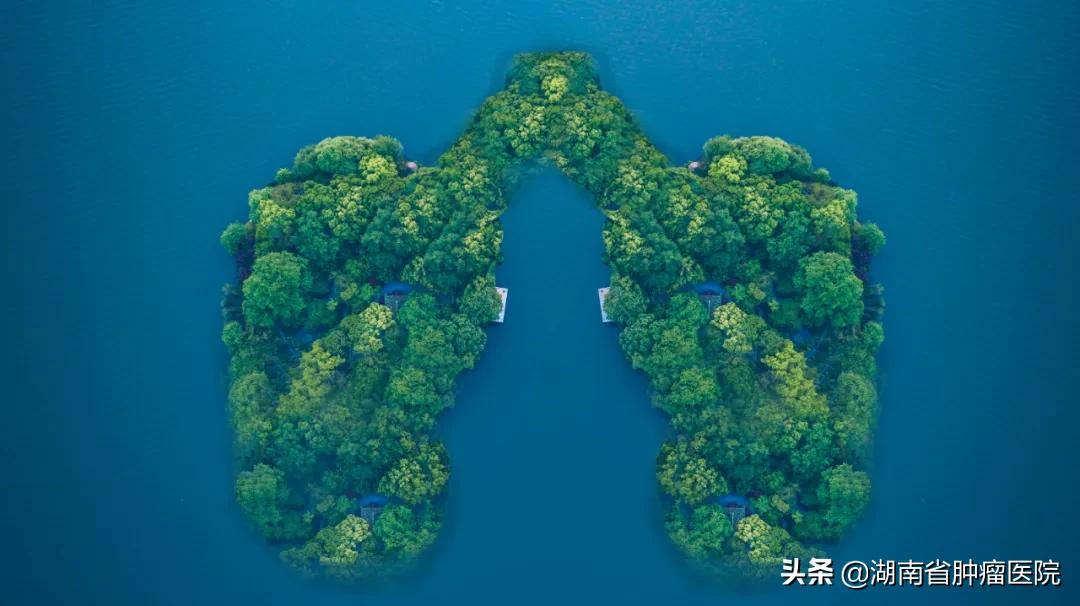 恶性肺结节手术能彻底治愈吗,手术活检肺结节恶性就是肺癌吗