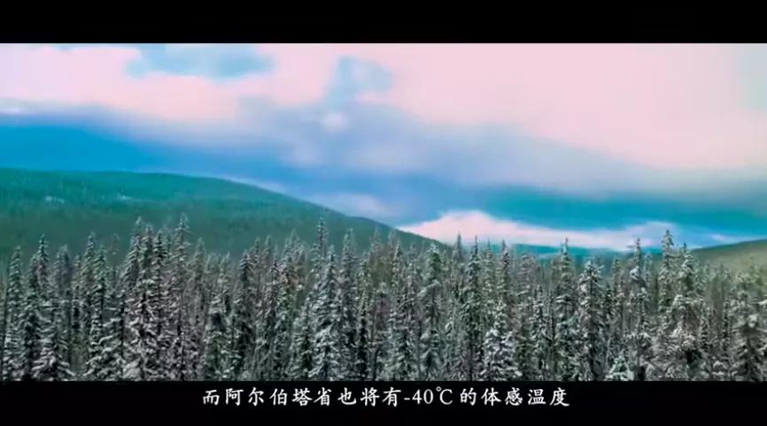 李子柒视频东北小伙,外国人评李子柒的视频