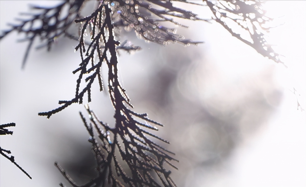 L鍗″彛闀跨劍闀滃ご,l鍗″彛70-300闀跨劍闀滃ご鎺ㄨ崘