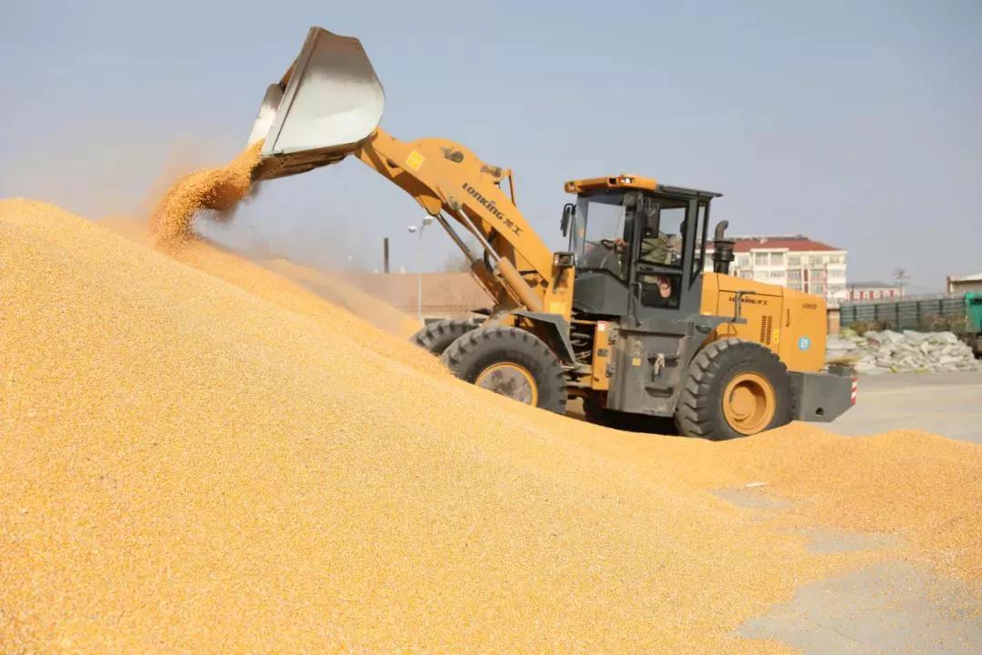 “内蒙古粮仓”通辽市：粮食增产又增收