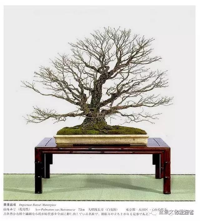 他山之石可以攻玉诗句,他山之石可以攻玉的作品