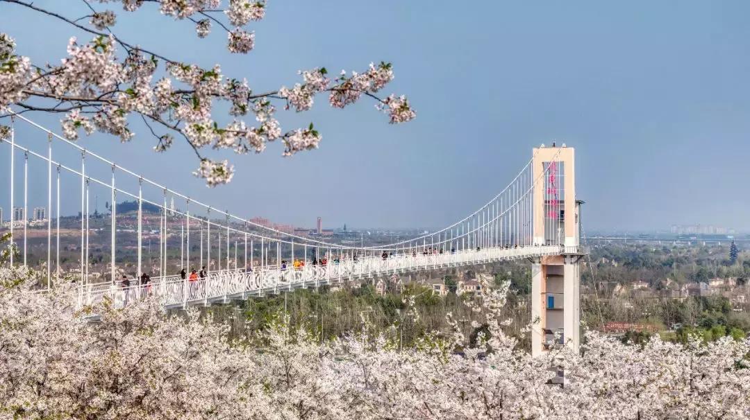 公园项目的正确玩法,公园玩法攻略