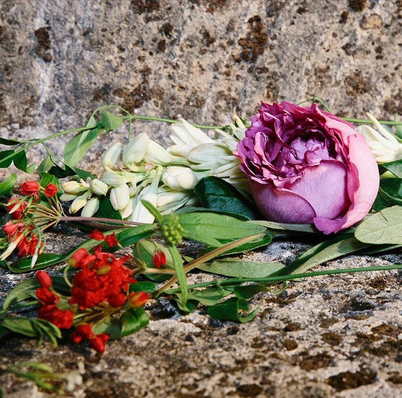 gucci5号香水,gucci5毫升香水