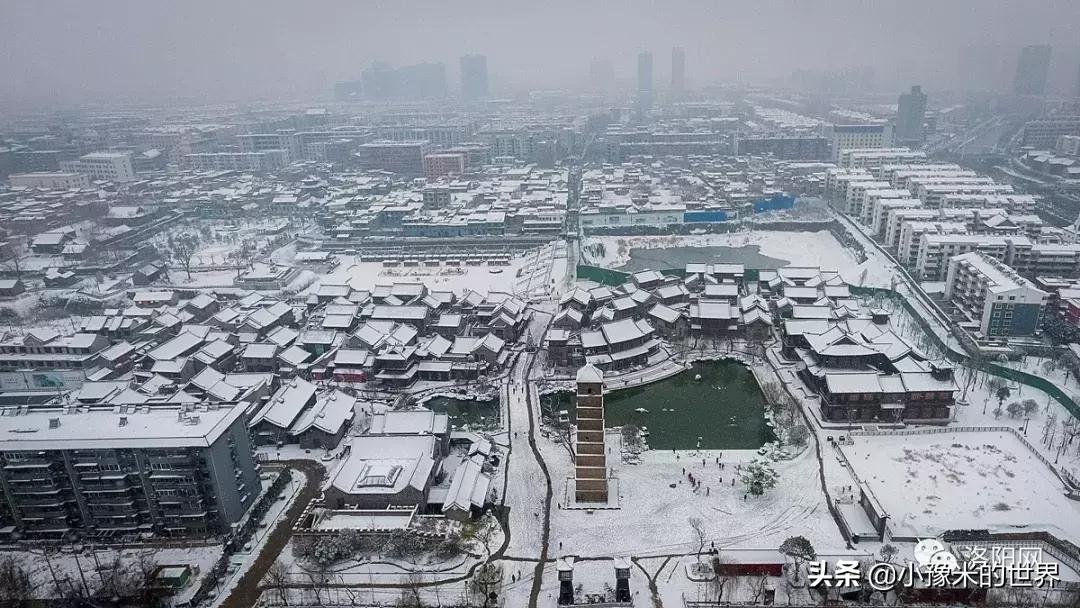 河南洛阳发布最新通知,洛阳牡丹花会向全世界发出邀请