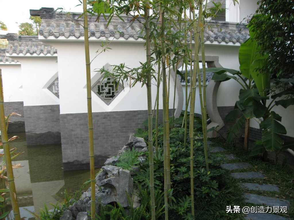 南方庭院种植什么竹子品种最好,庭院适合种什么竹子可以做隔断