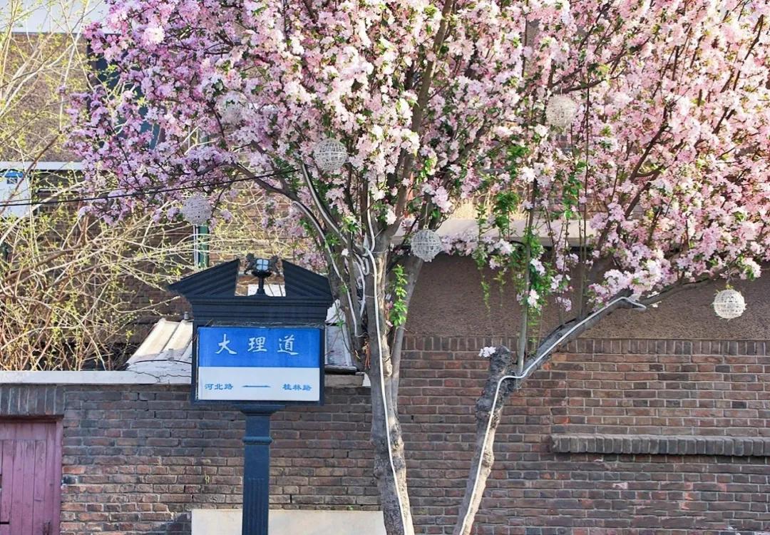 一个不出郑州的踏青好去处,天津春游公园推荐