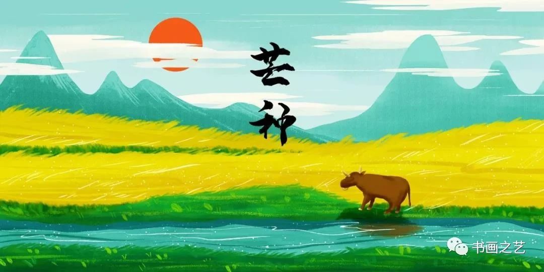 有芒的麦子和无芒的麦子,有芒刺的稻子