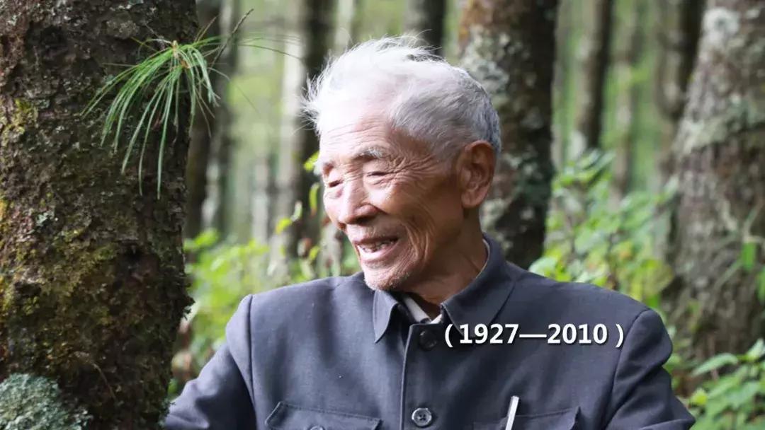 改革先锋100人,改革先锋100人完整名单