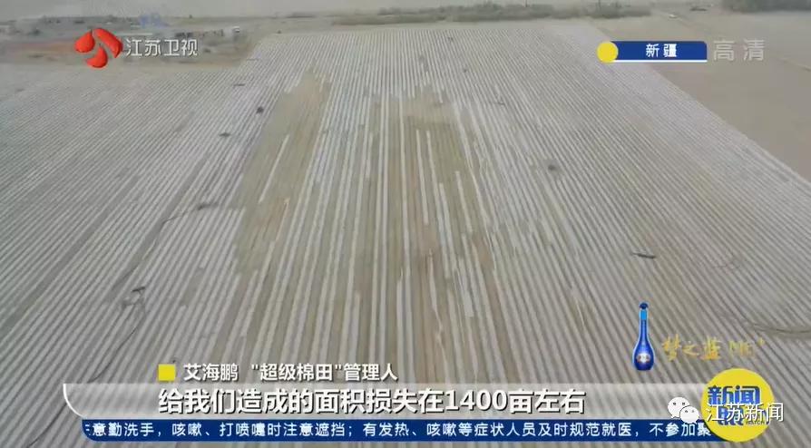 3亩地2个人种玉米需要多久,棉田种植方式