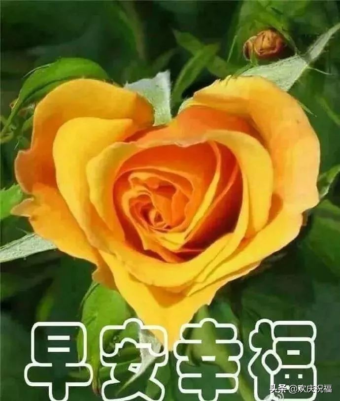 清晨的第一缕阳光早上好图片,清晨最美的祝福问候语图片大全