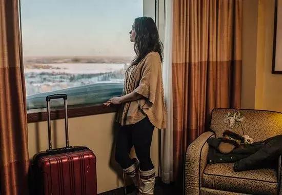 斑马旅游优缺点,斑马旅游2019