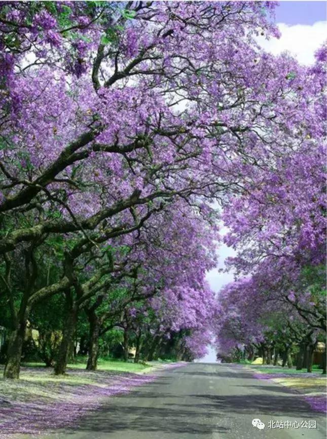 实拍深圳的一座公园,深圳有足球场的公园