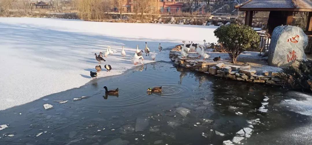 大连海事大学辽宁省大学排名,孔峰辽宁省教育厅大连海事大学