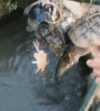 让你心动的搞笑图片,搞笑gif笑死人的动图