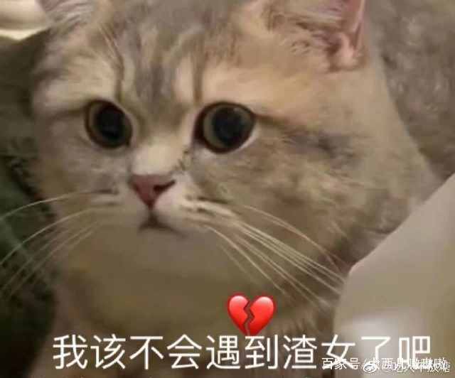 那我怎么办表情包可爱,表情包我怎么发不出去