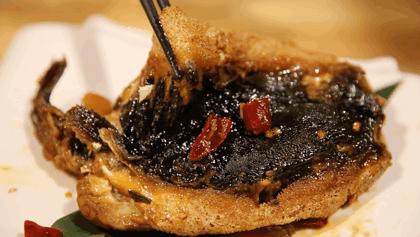 济南唯一一家吃河豚全宴的日料店！顶级鲜美，吃罢不念天下鱼