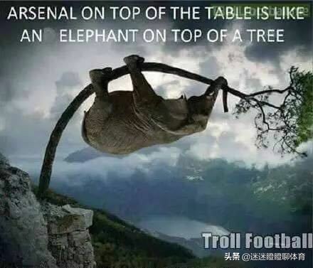 足坛球星萌娃搞笑瞬间,盘点足坛5大搞笑时刻