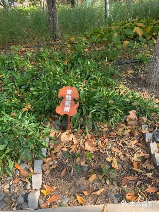 北京可以带宠物好玩的地方,北京宠物公园