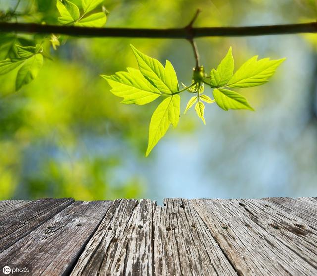 光圈与景深拍摄教程,光圈焦距与景深虚化效果