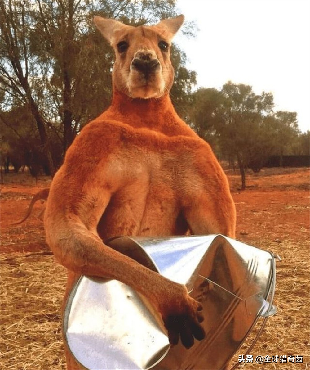 word一般字体大小是多少,word字体大小是多少