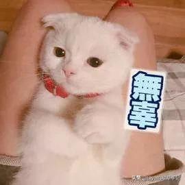 男生黑色直筒裤搭配什么夹克,夹克直筒裤2020年洋气穿搭