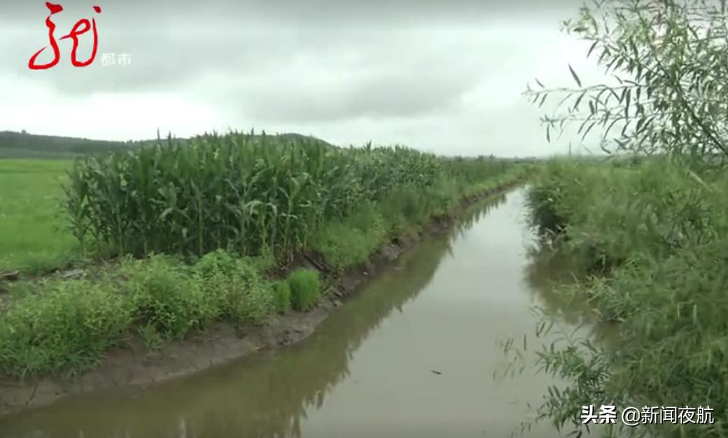 10万亩农田被淹村民盼望洪水退去,洪灾淹没的农田水稻怎么处理