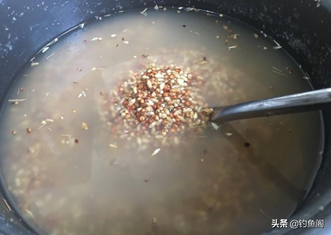 玉米野钓不打窝,野钓玉米能钓得到吗