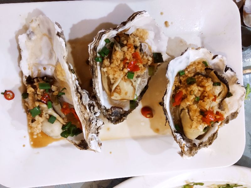 过年买海鲜买哪里的,海鲜市场什么东西可以养