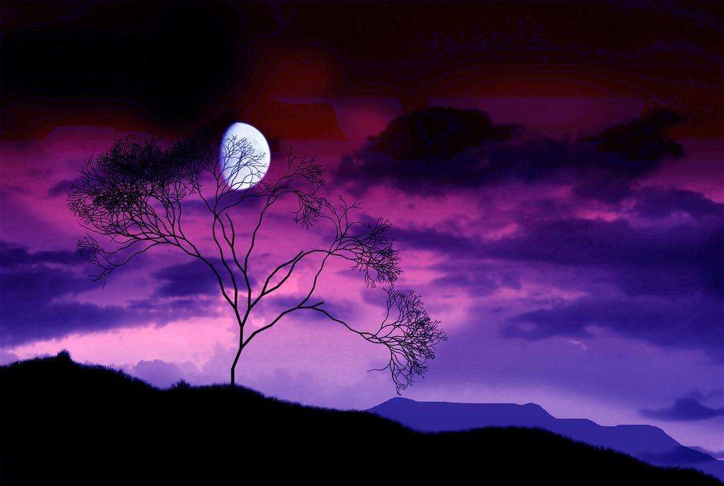 诗经月出女子与月亮,《诗经》中惊艳时光的女子