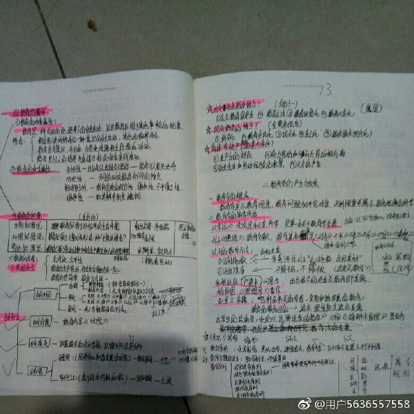 小猪佩奇怎么火的呀,小猪佩奇怎么火了