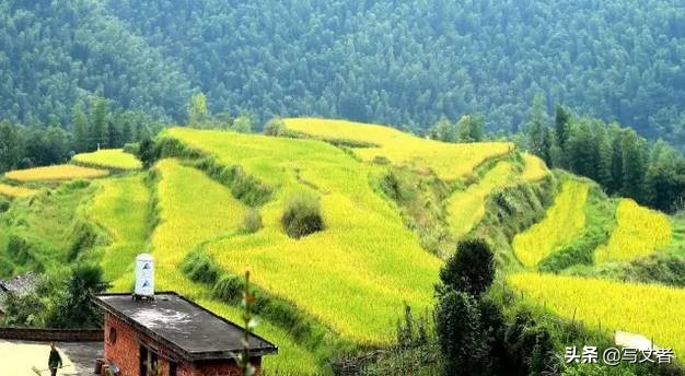萍乡长丰景色,萍乡长丰梯田