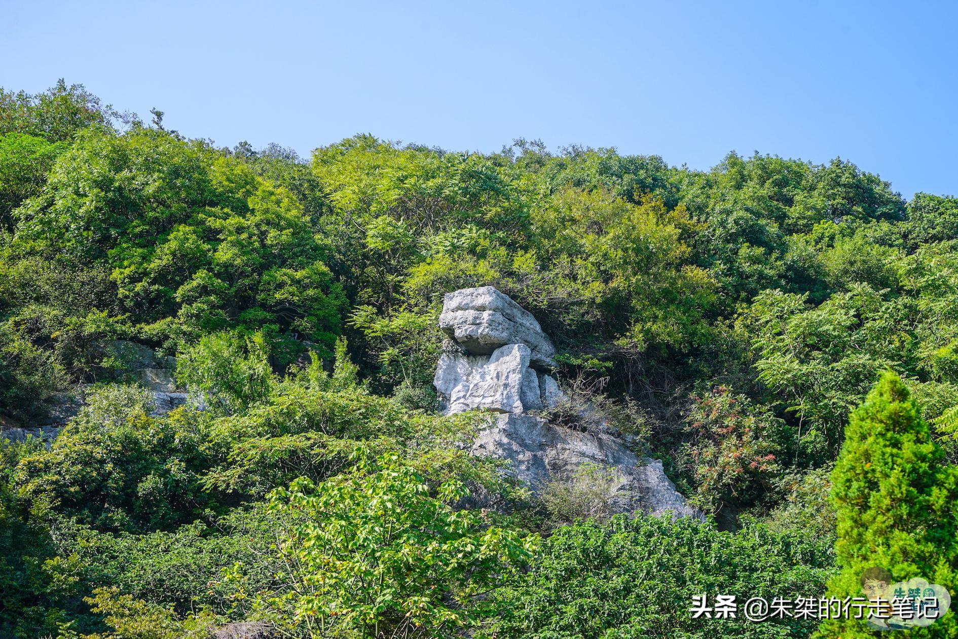 苏州太湖第一岛简介,苏州太湖原生态小岛