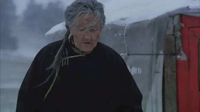 腾格尔曾经出演过哪部电影,腾格尔友情出演的电影