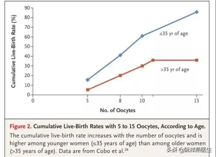 什么是“冻卵”?什么又是“卵巢组织冻存”?